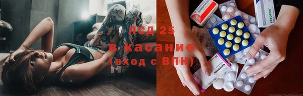 твердый Михайлов