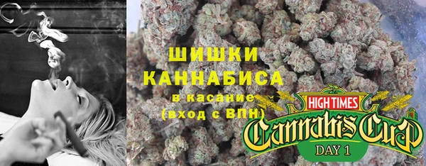 твердый Михайлов