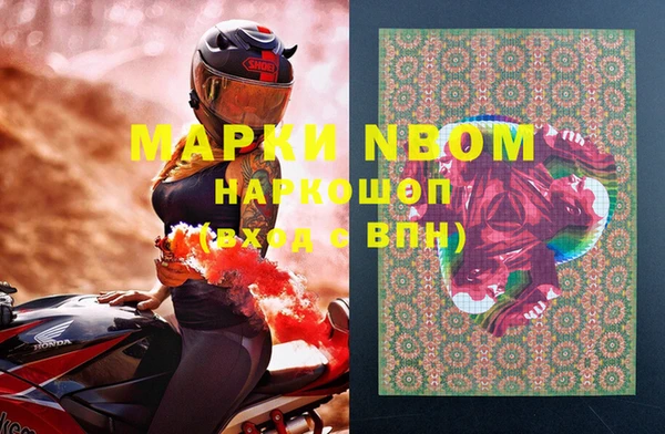 твердый Михайлов