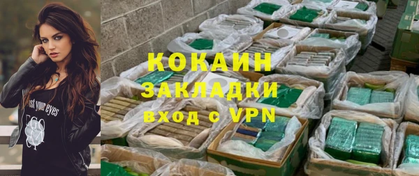 твердый Михайлов
