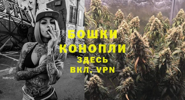 твердый Михайлов