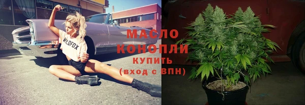 твердый Михайлов