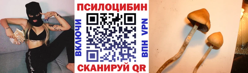 где купить   blacksprut ссылка  Псилоцибиновые грибы мухоморы  Чёрмоз 